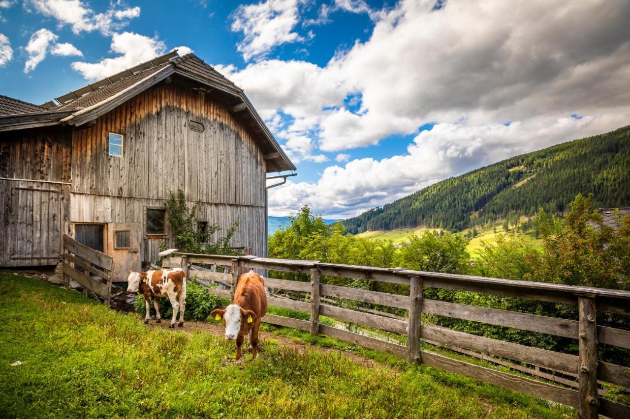 Ferienwohnung Binderhof Weisspriach Exterior foto